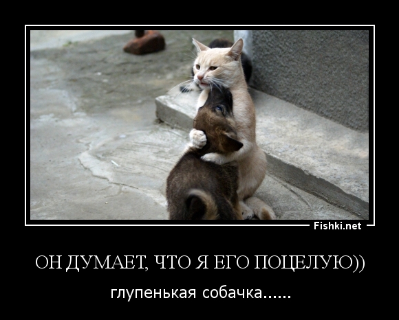 ОН ДУМАЕТ, ЧТО Я ЕГО ПОЦЕЛУЮ))