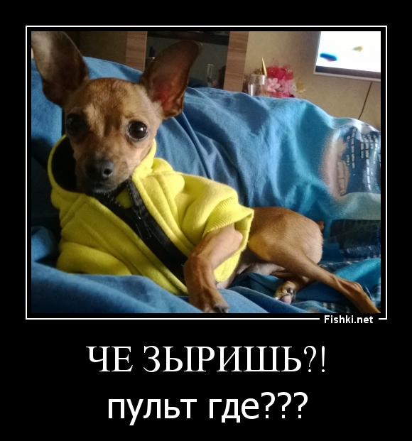 Че зыришь?!