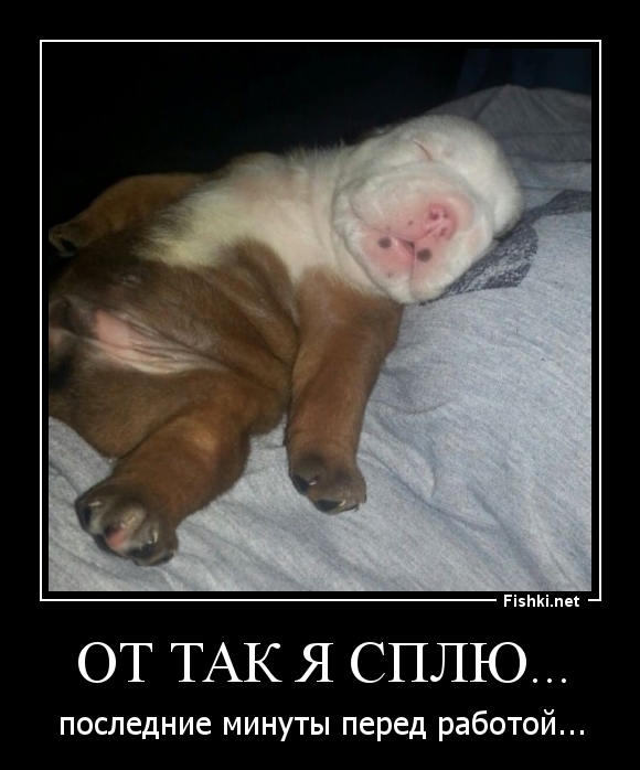 от так я сплю...