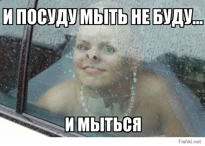 И посуду мыть не буду...