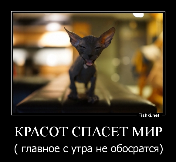 КРАСОТ СПАСЕТ МИР