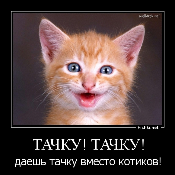 Тачку! Тачку!