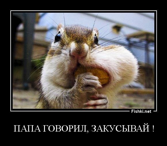 папа говорил, закусывай !