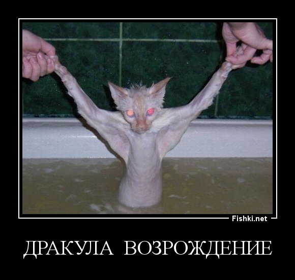 Дракула  возрождение