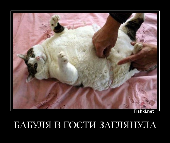 бабуля в гости заглянула