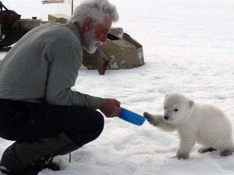 Российские военные спасли голодного медвежонка в Арктике