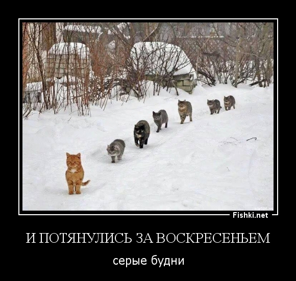 И потянулись за воскресеньем