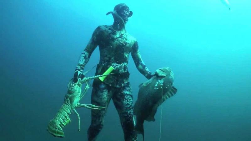 Мировой рекорд охоты с острогой на Морского окуня и гигантского Омара