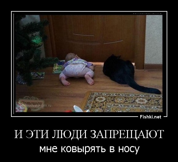 и эти люди запрещают