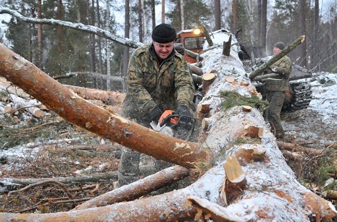  10 профессий, которые запрещены российским женщинам