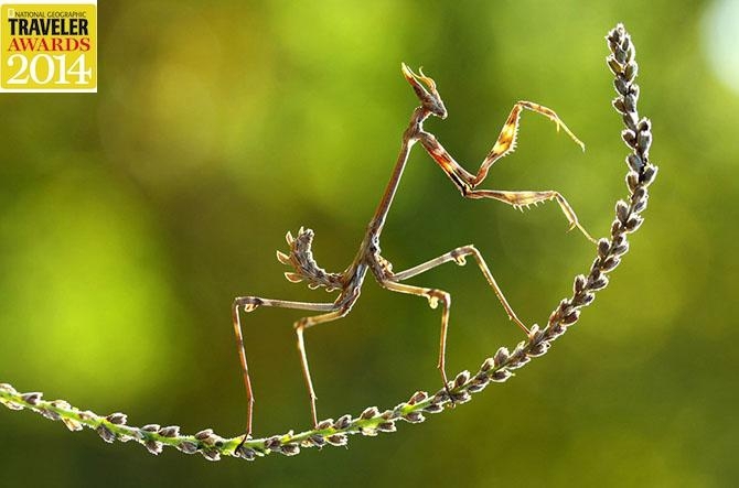 Лучшее с конкурса фотографии National Geographic 2014