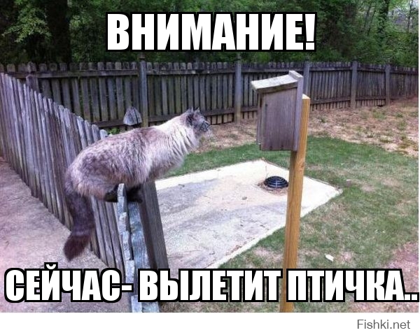 Внимание!