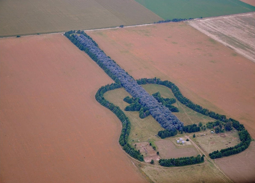 Лес в форме гитары в память о жене