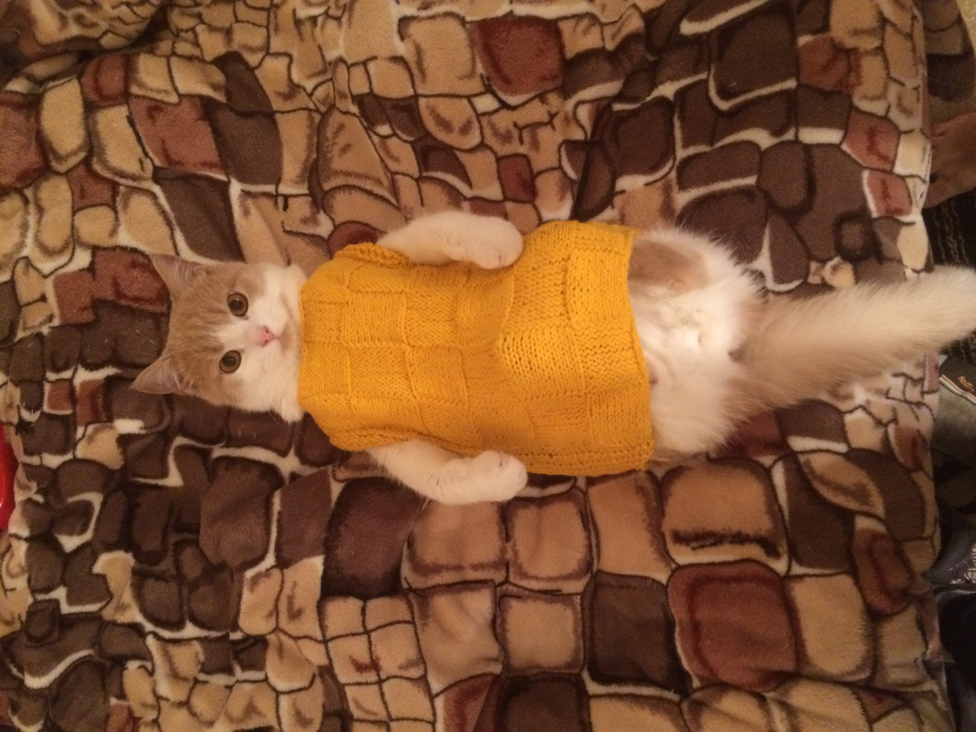 Котэ