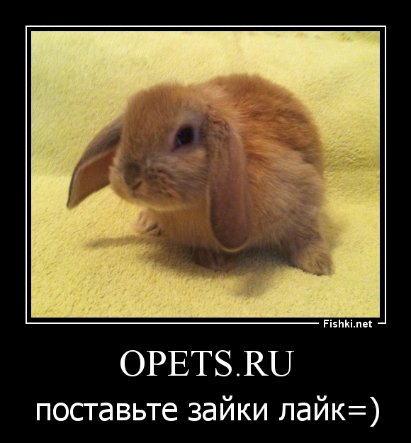 Opets.ru