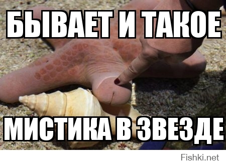 бывает и такое