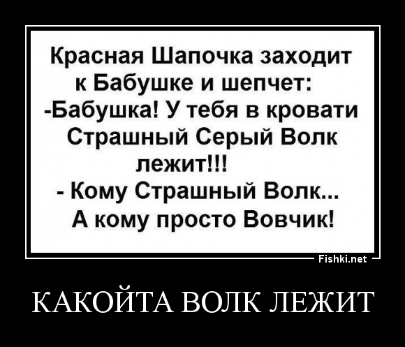 какойта волк лежит