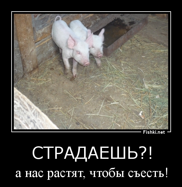 Страдаешь?!
