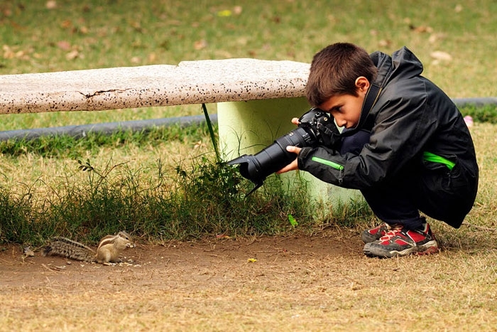 Лучший юный фотограф дикой природы 2014