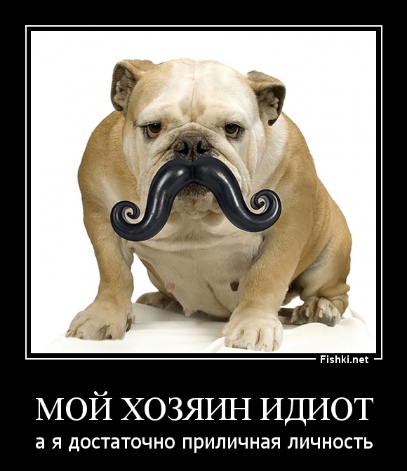 МОЙ ХОЗЯИН ИДИОТ