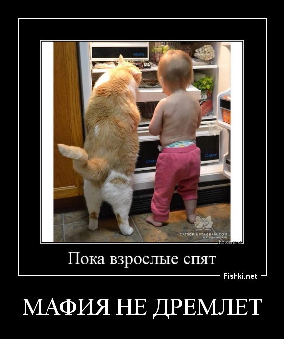 мафия не дремлет