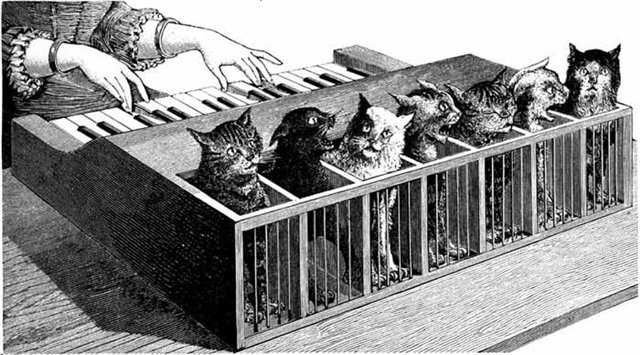 Кошачий клавесин