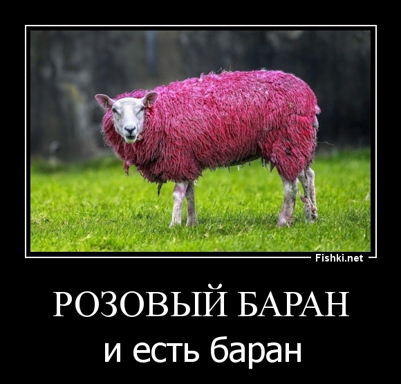 Розовый Баран