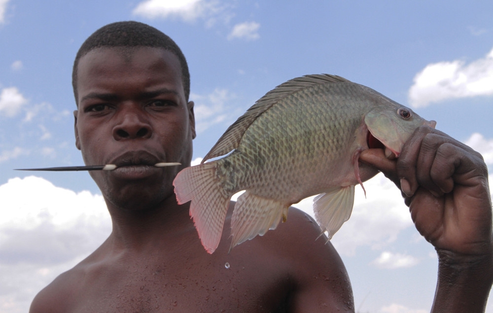 Незаконная рыбалка в Зимбабве