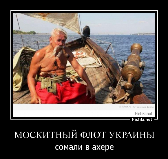 москитный флот Украины
