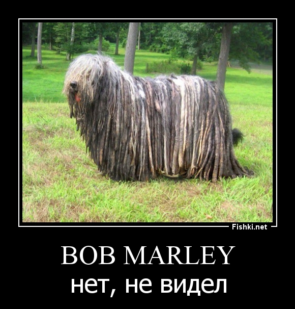 Bob Marley