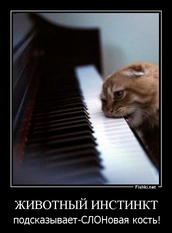 животный инстинкт