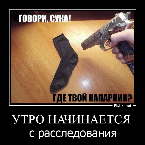 Утро начинается 