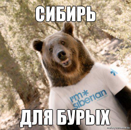Из солянки