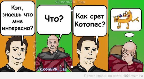 Из солянки