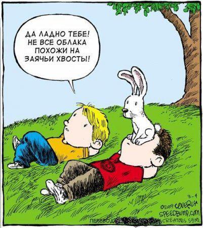 Из солянки