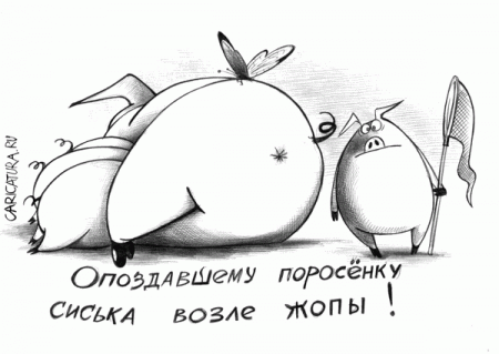 Из солянки