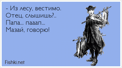 - Из лесу, вестимо.  Отец, слышишь?..  Папа... пааап...  Мазай, говорю!