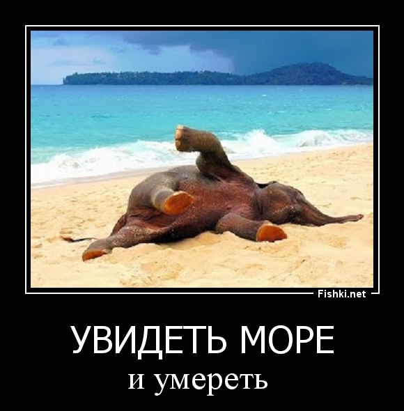 увидеть море