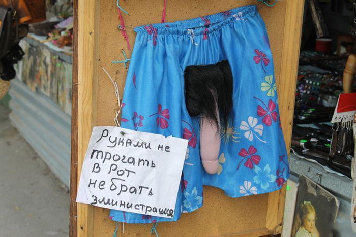 Из солянки