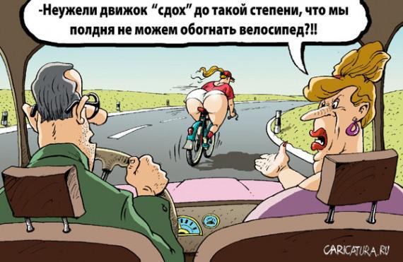 Из солянки