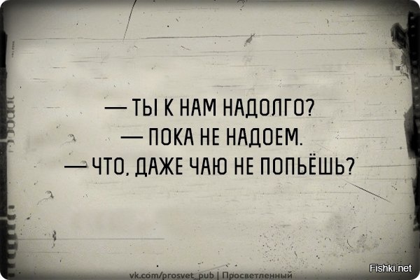 Из солянки