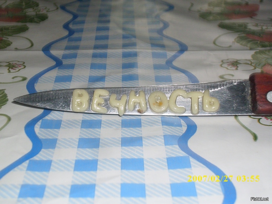 Из солянки