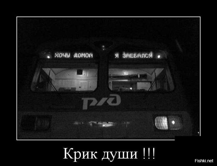 Из солянки