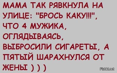 Из солянки