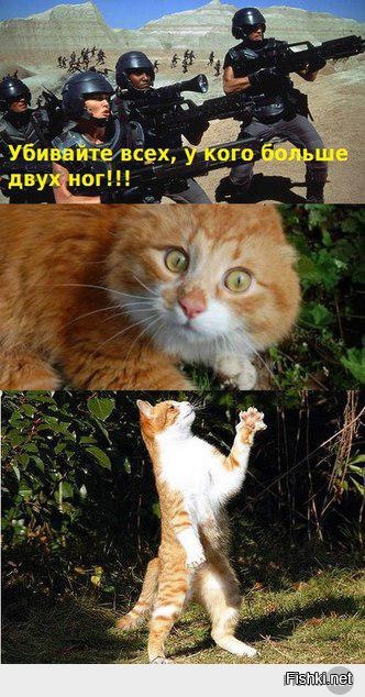 Из солянки