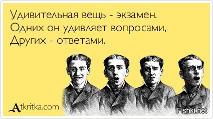 Из солянки