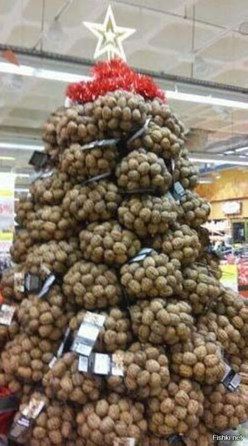 Из солянки