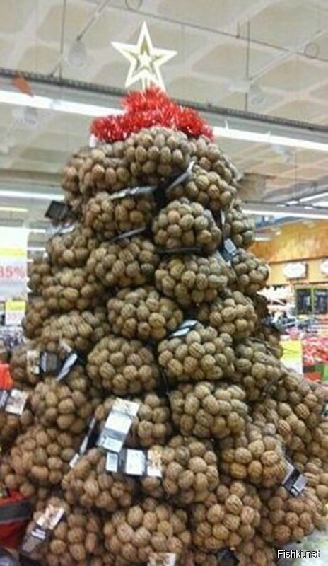 Из солянки
