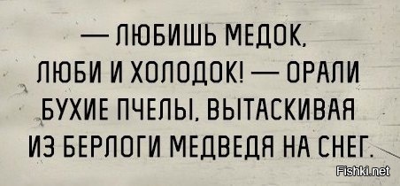 Из солянки