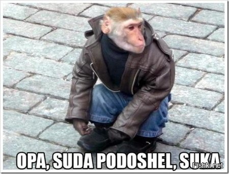 Из солянки